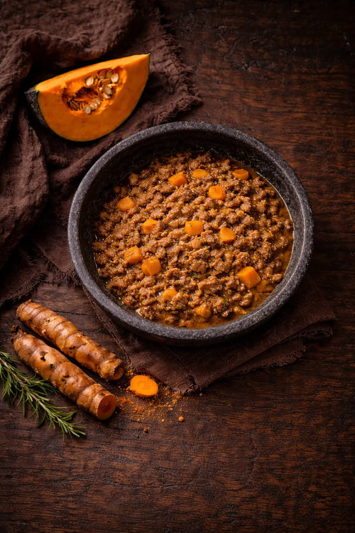 Malnad Estate Stew — Ledger No. 03 (Southern Forest Study)