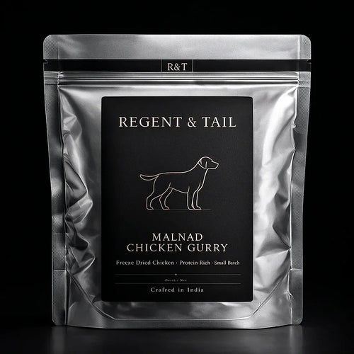 Konkan Coastal Ragout — Ledger No. 07 (Southern Coastal Study)