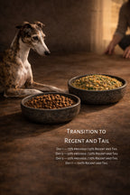 Konkan Coastal Ragout — Ledger No. 07 (Southern Coastal Study)