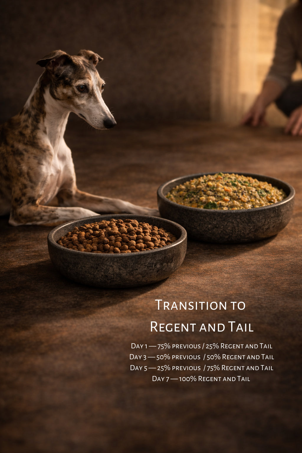 Konkan Coastal Ragout — Ledger No. 07 (Southern Coastal Study)